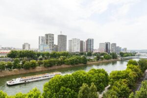 Paris AirBnB with River View