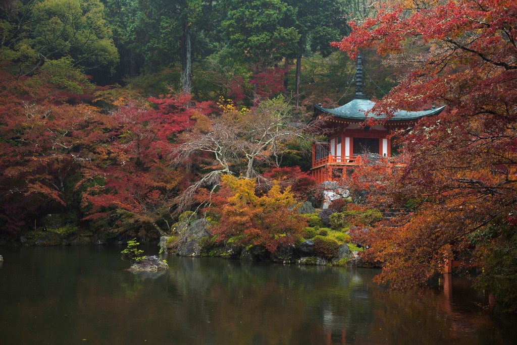 kyoto fall daigo ji2 bestviews